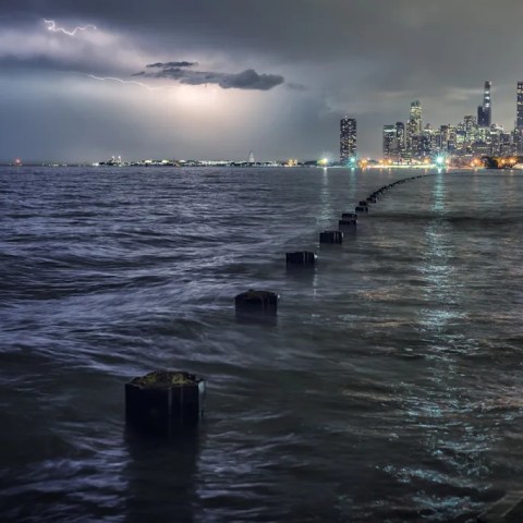 New Ocean Fossil Discovery Alerts Researchers: What This Troubling Finding Means for Our Future New Ocean Fossil Discovery Alerts Researchers: What This Troubling Finding Means for Our Future