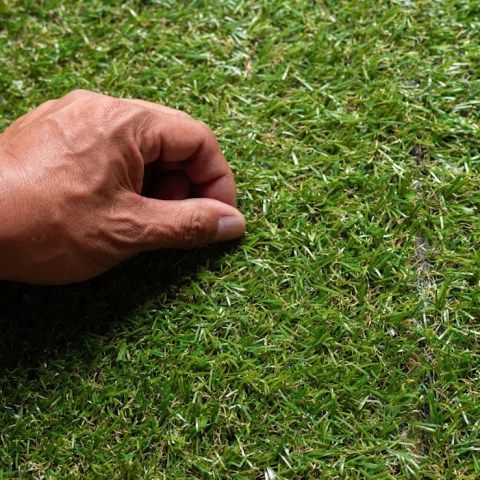 Homeowner Faces Backlash After Revealing Controversial Yard Renovation Plan: ‘Please Rethink Your Decision!’ Homeowner Faces Backlash After Revealing Controversial Yard Renovation Plan: ‘Please Rethink Your Decision!’