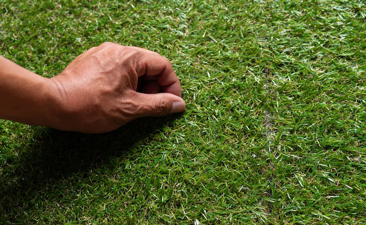 Homeowner Faces Backlash After Revealing Controversial Yard Renovation Plan: ‘Please Rethink Your Decision!’ Homeowner Faces Backlash After Revealing Controversial Yard Renovation Plan: ‘Please Rethink Your Decision!’