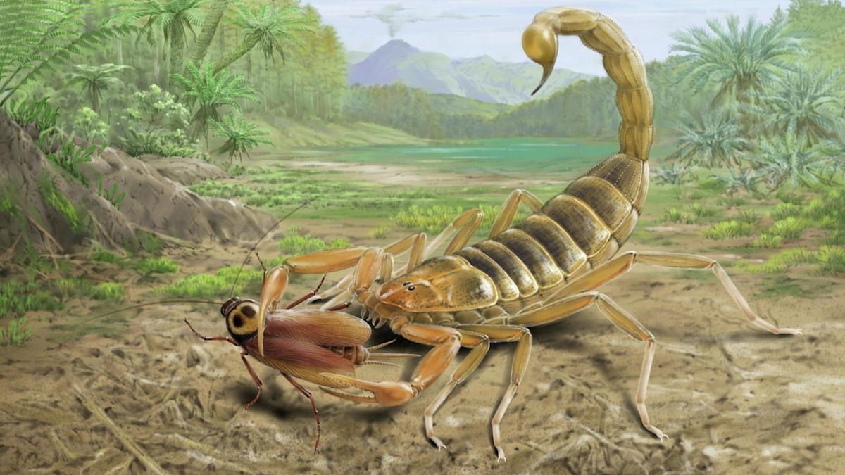 Stunning Discovery: 125 Million-Year-Old Fossil of a Giant Venomous Scorpion from the Age of Dinosaurs Unearthed in China Stunning Discovery: 125 Million-Year-Old Fossil of a Giant Venomous Scorpion from the Age of Dinosaurs Unearthed in China
