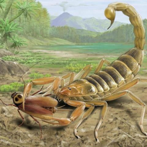 Stunning Discovery: 125 Million-Year-Old Fossil of a Giant Venomous Scorpion from the Age of Dinosaurs Unearthed in China Stunning Discovery: 125 Million-Year-Old Fossil of a Giant Venomous Scorpion from the Age of Dinosaurs Unearthed in China