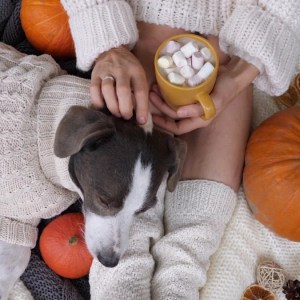 Deliciously Simple Pumpkin Spice Latte Recipe: Let Your Pup Join the Fun! Deliciously Simple Pumpkin Spice Latte Recipe: Let Your Pup Join the Fun!
