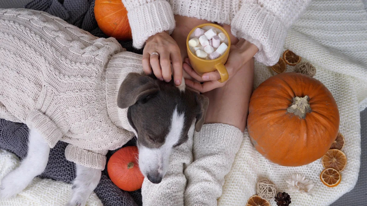 Deliciously Simple Pumpkin Spice Latte Recipe: Let Your Pup Join the Fun! Deliciously Simple Pumpkin Spice Latte Recipe: Let Your Pup Join the Fun!