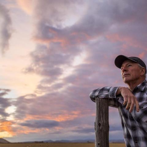 Soybean Farmers Shocked: How Argentina’s Decisions Threaten Rural America’s  Billion Soybean Boom Soybean Farmers Shocked: How Argentina’s Decisions Threaten Rural America’s  Billion Soybean Boom