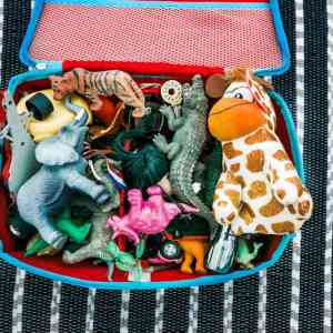 Discover the Kid-Friendly Analog Bag: A Perfect Blend of Fun and Function for Young Adventurers! Discover the Kid-Friendly Analog Bag: A Perfect Blend of Fun and Function for Young Adventurers!