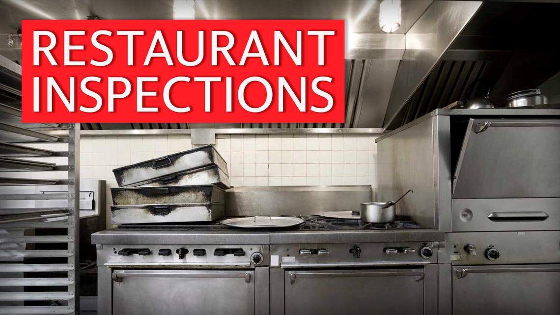 Uncovering Troubling Health Inspection Results: Plano Kitchens Face Low Scores and Roach Infestations Uncovering Troubling Health Inspection Results: Plano Kitchens Face Low Scores and Roach Infestations
