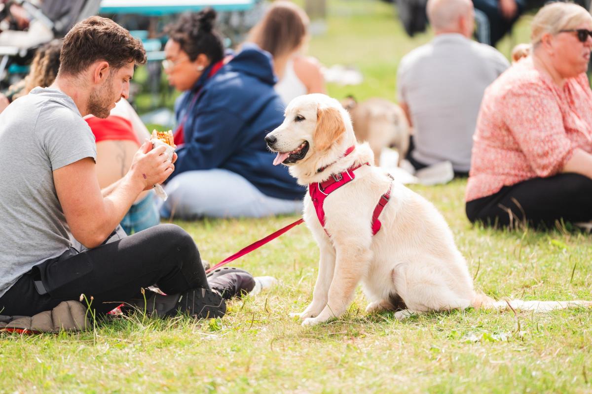 Local Prestwich Groups Receive £75k Funding Boost from Heaton Park Concert: Here’s How It Will Transform the Community! Local Prestwich Groups Receive £75k Funding Boost from Heaton Park Concert: Here’s How It Will Transform the Community!