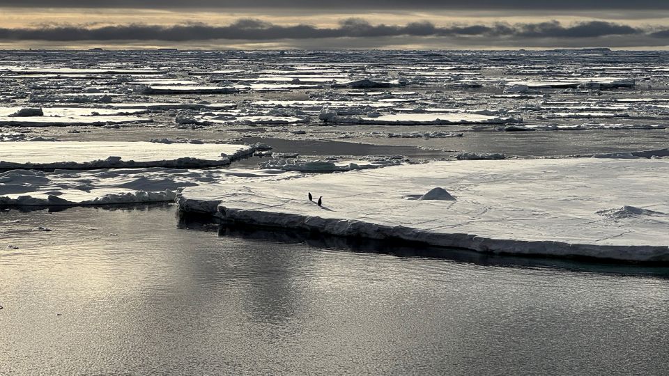 Unraveling Antarctica’s Downward Spiral: How a ‘Triple Whammy’ of Chaos is Reshaping Our Planet Unraveling Antarctica’s Downward Spiral: How a ‘Triple Whammy’ of Chaos is Reshaping Our Planet