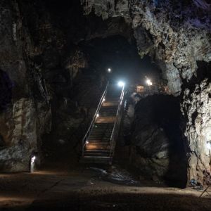 Unveiling ‘Little Foot’: The 4 Million-Year-Old Human Ancestor’s Face Brought to Life Through Digital Reconstruction Unveiling ‘Little Foot’: The 4 Million-Year-Old Human Ancestor’s Face Brought to Life Through Digital Reconstruction