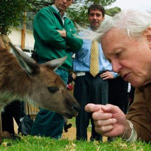 Discover the 5 Vital Lifestyle Habits of Centenarians like David Attenborough for a Longer, Healthier Life! Discover the 5 Vital Lifestyle Habits of Centenarians like David Attenborough for a Longer, Healthier Life!