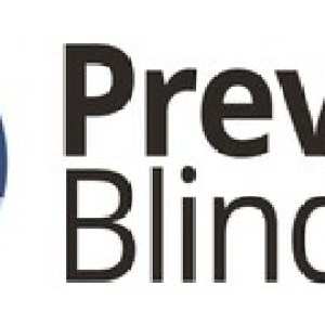 Join Us in May: Prevent Blindness Launches Eye Health Webinar Series ‘Powering Partnerships for a Brighter Vision’! Join Us in May: Prevent Blindness Launches Eye Health Webinar Series ‘Powering Partnerships for a Brighter Vision’!