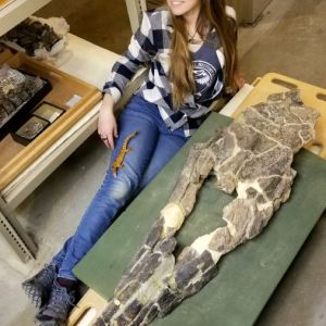 Meet the Sea’s T. rex: The Dreaded Marine Reptile of the Dinosaur Era Meet the Sea’s T. rex: The Dreaded Marine Reptile of the Dinosaur Era
