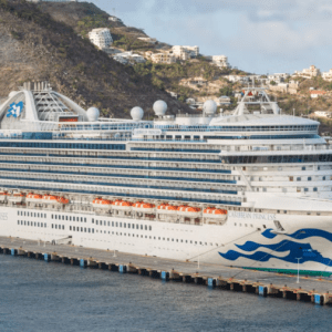 CDC Reports: 115 Passengers Fall Ill in Norovirus Outbreak on Florida-Bound Cruise Ship CDC Reports: 115 Passengers Fall Ill in Norovirus Outbreak on Florida-Bound Cruise Ship