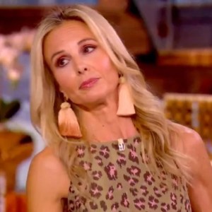 Shocking Moment on ‘The View’: Audience Reacts When Guest Host Elisabeth Hasselbeck Blames ICE Disapproval on Media – Watch the Video! Shocking Moment on ‘The View’: Audience Reacts When Guest Host Elisabeth Hasselbeck Blames ICE Disapproval on Media – Watch the Video!