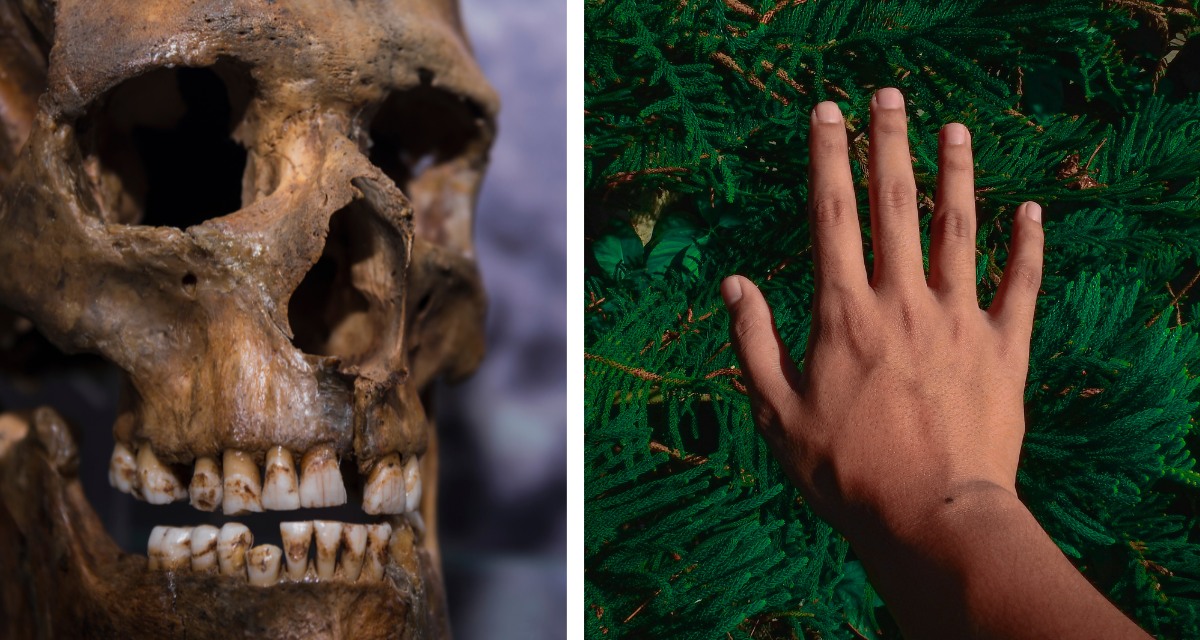 Unlocking the Mystery: How Two Key Factors Shaped Human Right-Handedness Unlocking the Mystery: How Two Key Factors Shaped Human Right-Handedness