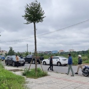 Giữa lúc thị trường BĐS đang ảm đạm, chuyên gia nhận định bất ngờ về xu hướng đầu tư đất nền trong thời gian tới Giữa lúc thị trường BĐS đang ảm đạm, chuyên gia nhận định bất ngờ về xu hướng đầu tư đất nền trong thời gian tới