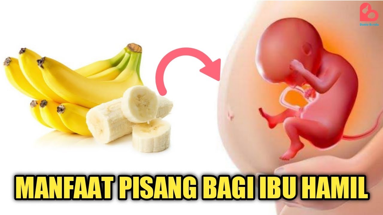 Manfaat Buah Pisang Untuk Ibu Hamil Muda Manfaat Buah Pisang Untuk Ibu Hamil Muda