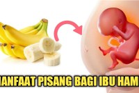 Manfaat Buah Pisang Untuk Ibu Hamil Muda Manfaat Buah Pisang Untuk Ibu Hamil Muda