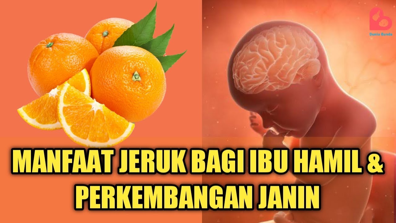 Manfaat Buah Jeruk Untuk Ibu Hamil Dan Janin Manfaat Buah Jeruk Untuk Ibu Hamil Dan Janin