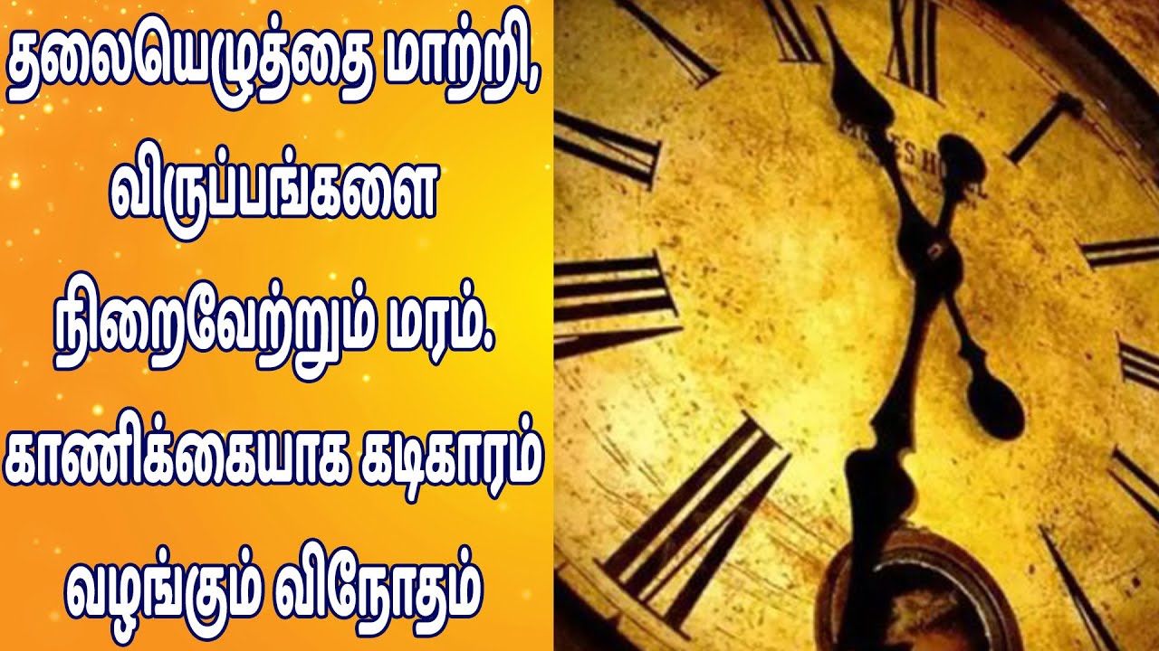 தலையெழுத்தை மாற்றி, விருப்பங்களை நிறைவேற்றும் மரம். காணிக்கையாக கடிகாரம் வழங்கும் விநோதம் தலையெழுத்தை மாற்றி, விருப்பங்களை நிறைவேற்றும் மரம். காணிக்கையாக கடிகாரம் வழங்கும் விநோதம்