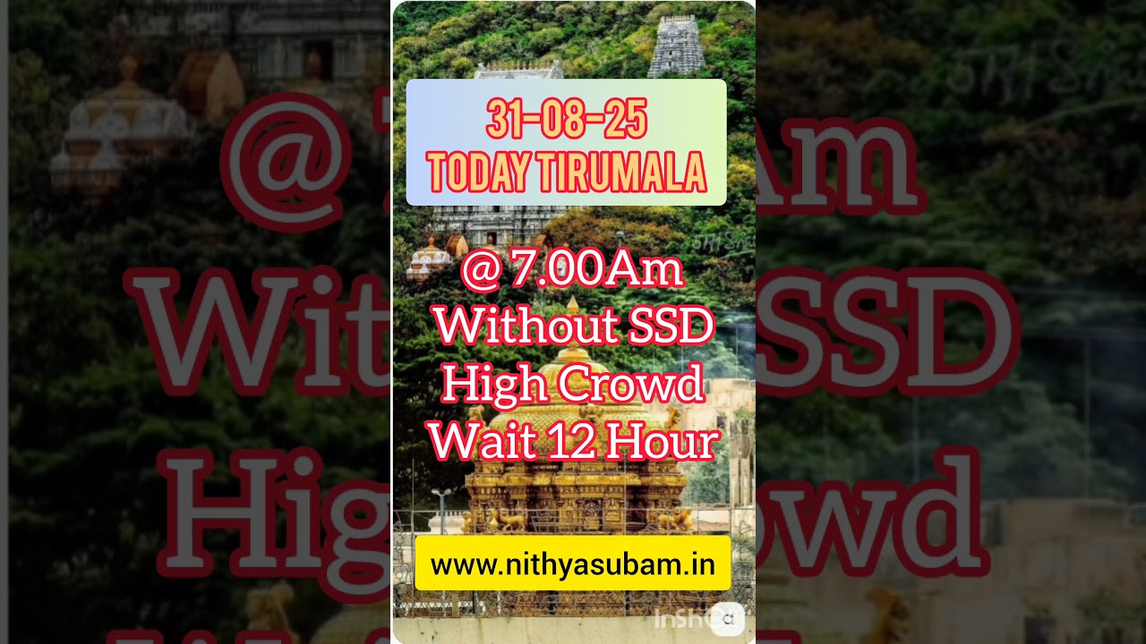 31-08-25 Without SSD, Today Tirumala Status #tirumaladarshan #tirumala #sarvadarshantoday 31-08-25 Without SSD, Today Tirumala Status #tirumaladarshan #tirumala #sarvadarshantoday
