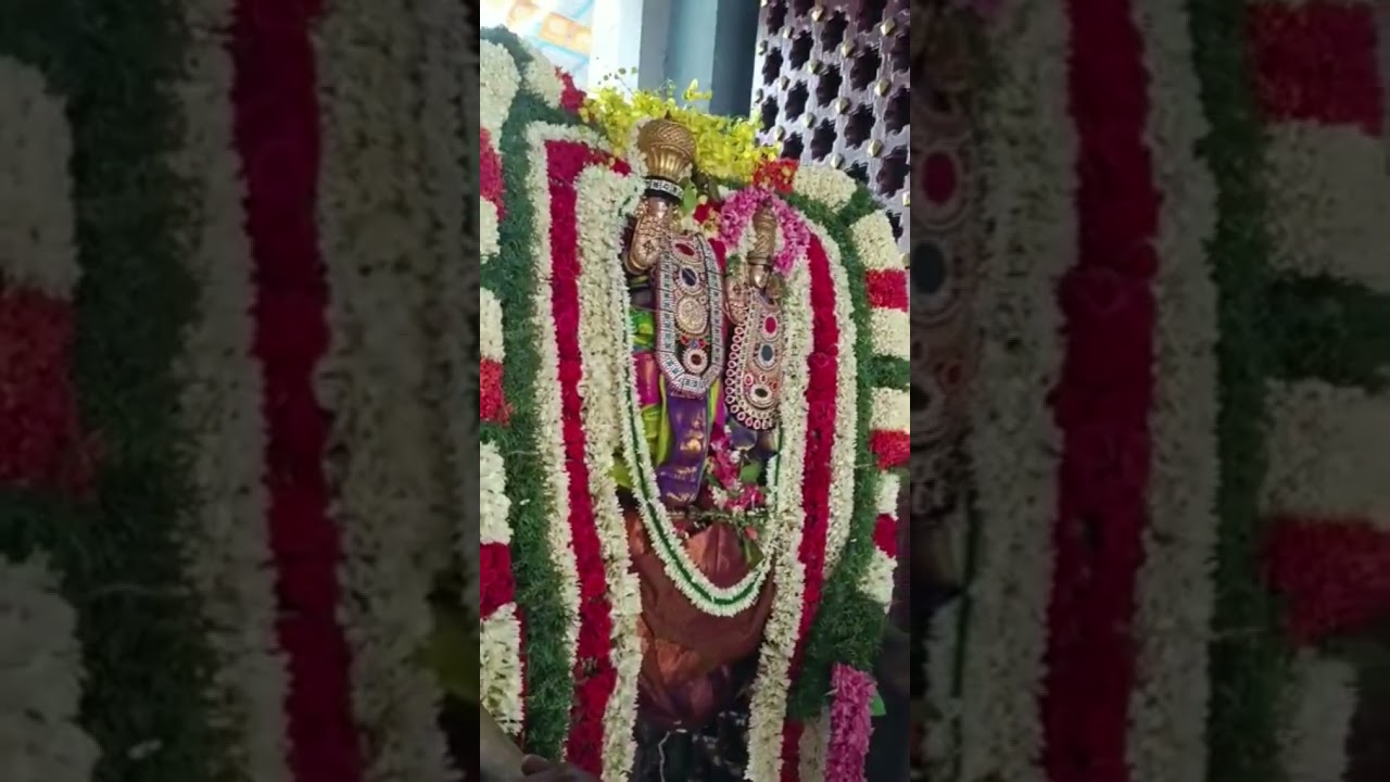 02.05.2023 காலை திருநாகேஸ்வர் சுவாமி காலை வரி வேட்டை மற்றும் கோபுரம் தரிசனம் | www.nithyasubam.in 02.05.2023 காலை திருநாகேஸ்வர் சுவாமி காலை வரி வேட்டை மற்றும் கோபுரம் தரிசனம் | www.nithyasubam.in