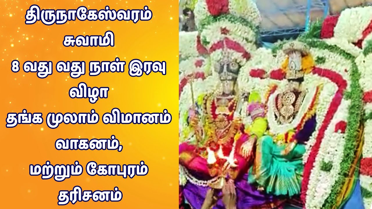 திருநாகேஸ்வரம் சுவாமி 8 வது வது நாள் இரவு விழா தங்க முலாம் விமானம் வாகனம், மற்றும் கோபுரம் தரிசனம். திருநாகேஸ்வரம் சுவாமி 8 வது வது நாள் இரவு விழா தங்க முலாம் விமானம் வாகனம், மற்றும் கோபுரம் தரிசனம்.