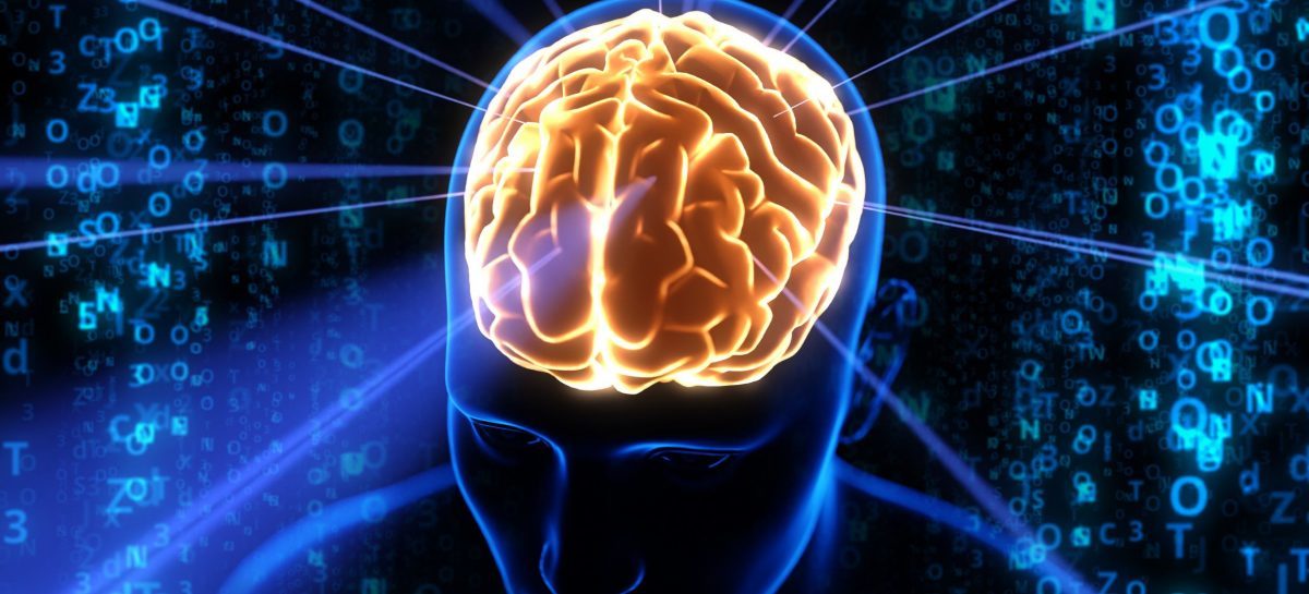 Creierul unui șoarece din modele animale Alzheimer cu evidențierea nivelurilor NAD+ creier și semne de boală Alzheimer reversibilă în studiu preclinic | sursa foto: News.ro Creierul unui șoarece din modele animale Alzheimer cu evidențierea nivelurilor NAD+ creier și semne de boală Alzheimer reversibilă în studiu preclinic | sursa foto: News.ro