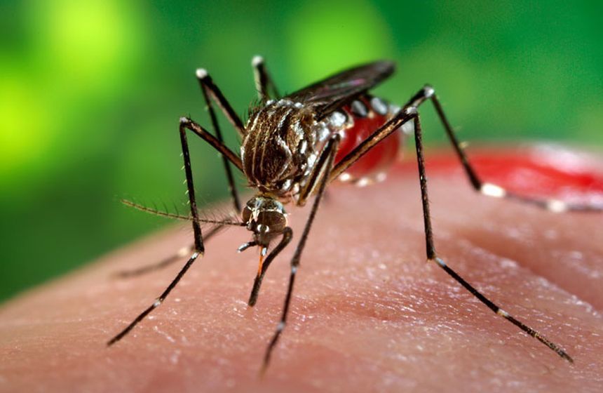 Harta Greciei cu zone evidențiate pentru focare virus West Nile și puncte de monitorizare țânțari în contextul creșterii cazurilor. | sursa foto: News.ro Harta Greciei cu zone evidențiate pentru focare virus West Nile și puncte de monitorizare țânțari în contextul creșterii cazurilor. | sursa foto: News.ro