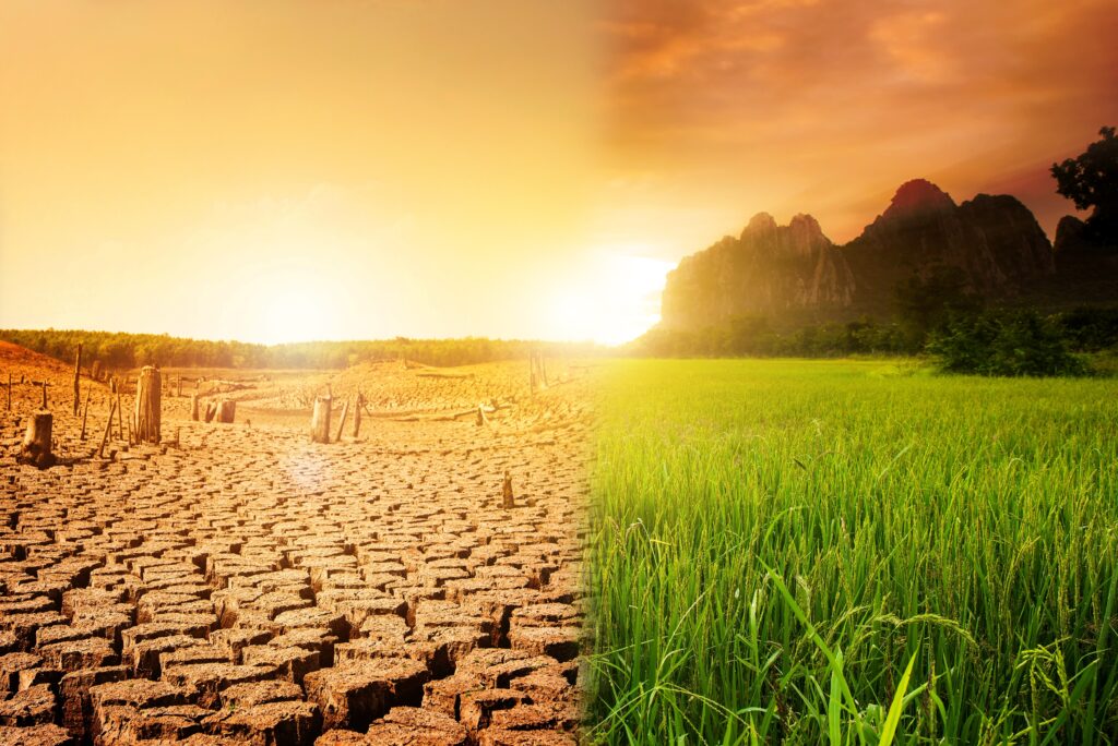 Experți OMS discutând impactul crizei climatice asupra sănătății publice și necesitatea declarării schimbărilor climatice urgență globală. | sursa foto: Descopera Experți OMS discutând impactul crizei climatice asupra sănătății publice și necesitatea declarării schimbărilor climatice urgență globală. | sursa foto: Descopera
