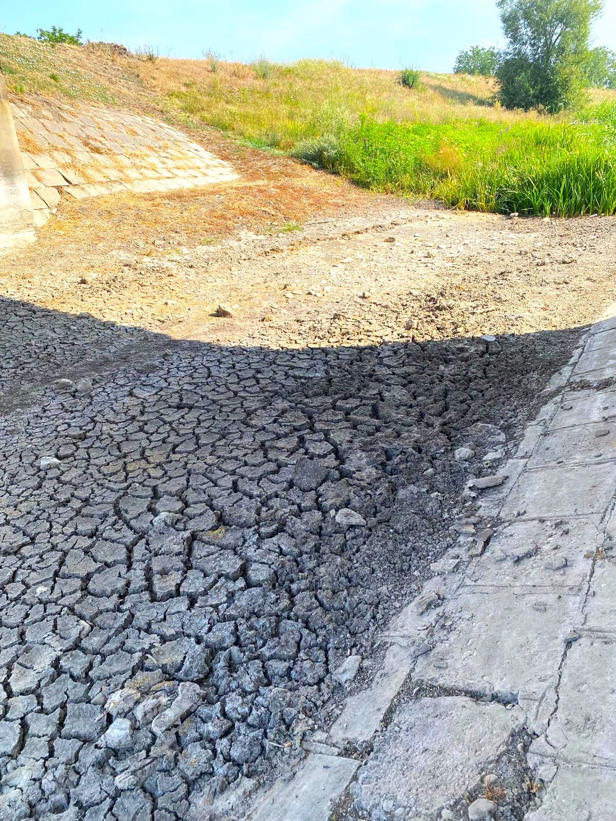 Voluntari distribuind apă îmbuteliată în comunele Derna și Popești afectate de secetă Bihor și restricții apă la distribuire apă menajeră | sursa foto: G4Media Voluntari distribuind apă îmbuteliată în comunele Derna și Popești afectate de secetă Bihor și restricții apă la distribuire apă menajeră | sursa foto: G4Media