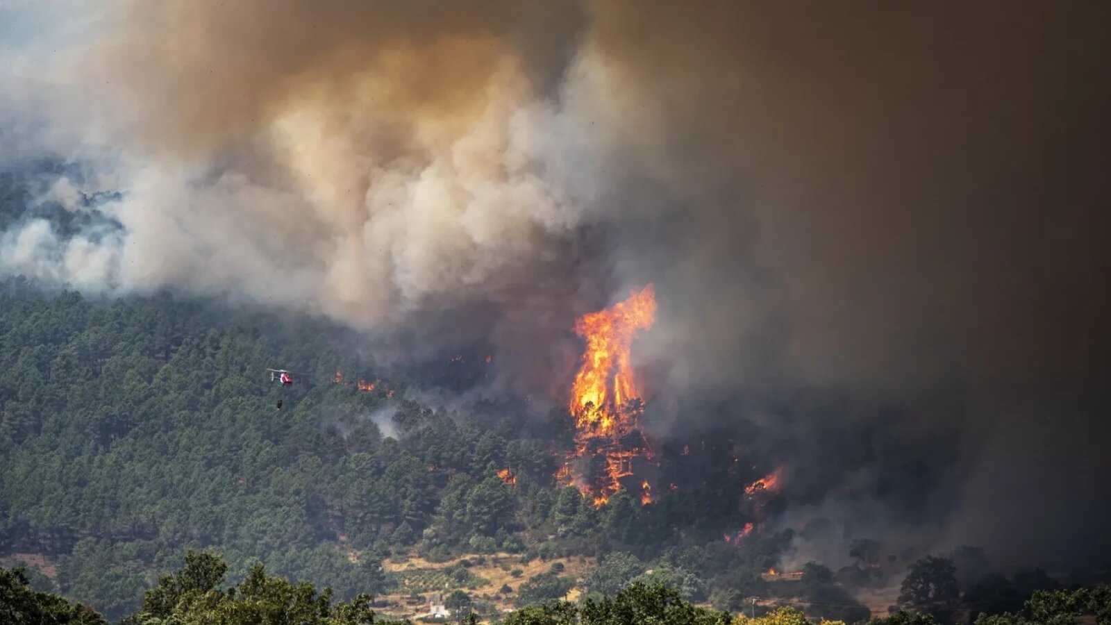 Tornadă de foc ridicând fum dens peste pădure în flăcări, ilustrând fenomene meteo extreme cu incendii vegetație și furtuni grindină în Europa. | sursa foto: Stiri pe Surse Tornadă de foc ridicând fum dens peste pădure în flăcări, ilustrând fenomene meteo extreme cu incendii vegetație și furtuni grindină în Europa. | sursa foto: Stiri pe Surse