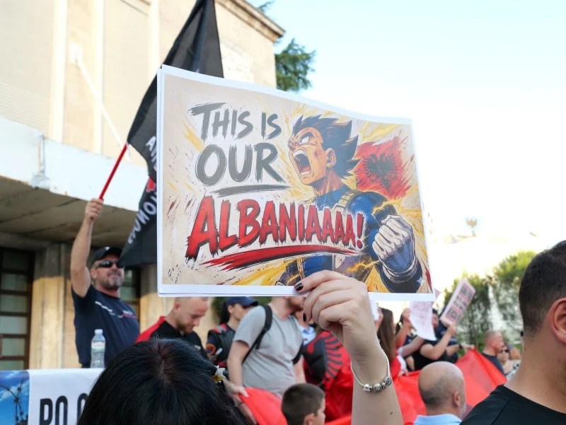 Manifestanți în Tirana cu pancarte cu flamingo protestând împotriva proiectului imobiliar Albania din cauza impactului ecologic asupra habitatelor protejate | sursa foto: Adevarul Manifestanți în Tirana cu pancarte cu flamingo protestând împotriva proiectului imobiliar Albania din cauza impactului ecologic asupra habitatelor protejate | sursa foto: Adevarul