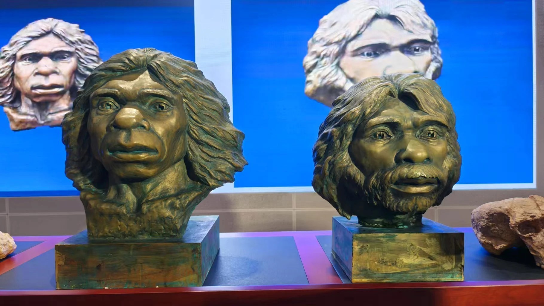 Cranii fosile vechi de 1,77 milioane ani ale Homo erectus din Asia, descoperite în China și datate prin izotopi cosmogoni pentru migrația timpurie. | sursa foto: Historia Cranii fosile vechi de 1,77 milioane ani ale Homo erectus din Asia, descoperite în China și datate prin izotopi cosmogoni pentru migrația timpurie. | sursa foto: Historia
