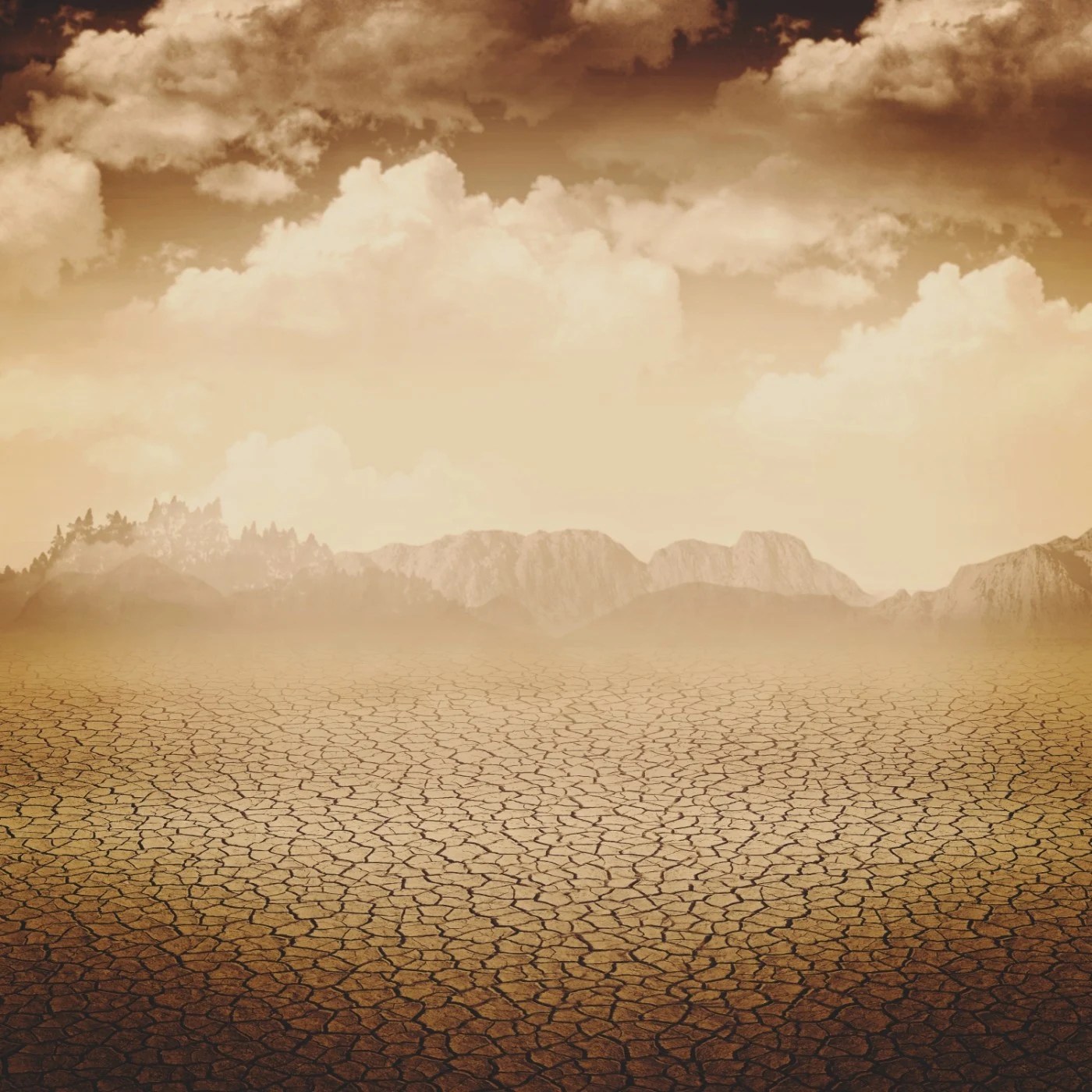Peisaj uscat din Oltenia cu sol crăpat și vegetație rară, ilustrând criză apă România și secetă Oltenia cauzate de schimbări climatice globale. | sursa foto: Adevarul Peisaj uscat din Oltenia cu sol crăpat și vegetație rară, ilustrând criză apă România și secetă Oltenia cauzate de schimbări climatice globale. | sursa foto: Adevarul