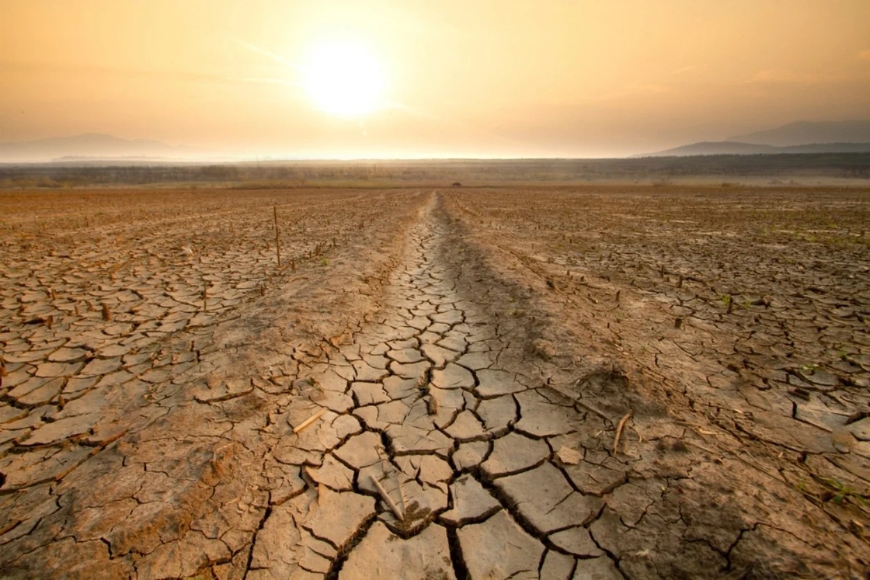 Harta globală a extinderii terenurilor uscate până în 2100, evidențiind indicele de ariditate și efectul CO2 asupra plantelor în zone semiaride și aride. | sursa foto: Adevarul Harta globală a extinderii terenurilor uscate până în 2100, evidențiind indicele de ariditate și efectul CO2 asupra plantelor în zone semiaride și aride. | sursa foto: Adevarul