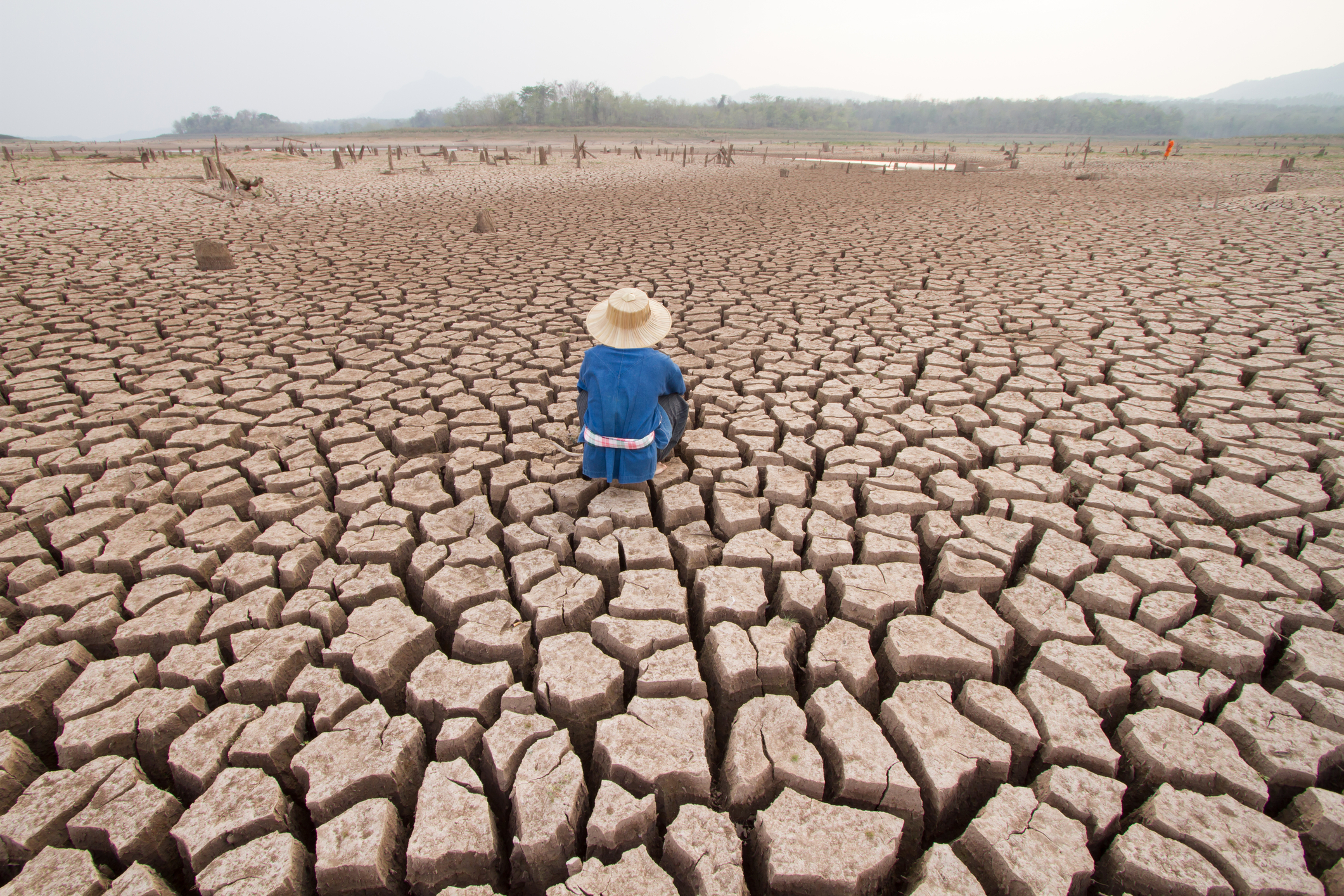 Harta globală a temperaturilor anuale cu zone roșii intense care indică valuri de căldură și efectele încălzirii globale sub influența fenomenului El Nino. | sursa foto: HotNews Harta globală a temperaturilor anuale cu zone roșii intense care indică valuri de căldură și efectele încălzirii globale sub influența fenomenului El Nino. | sursa foto: HotNews