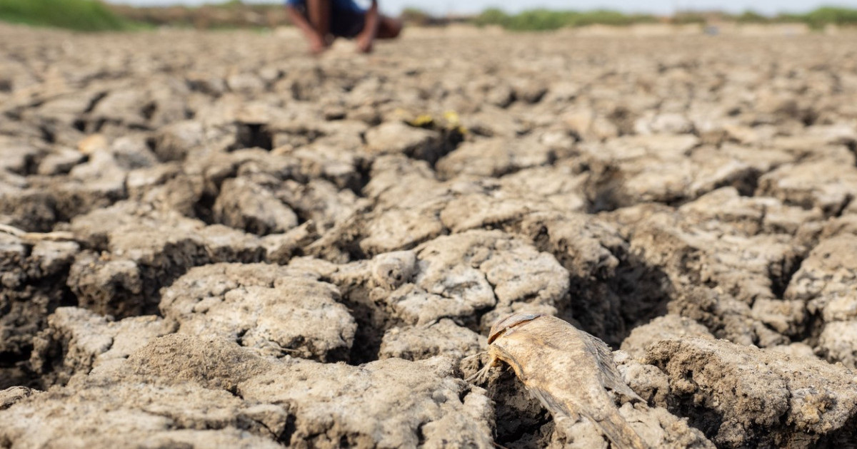 Harta Africii evidențiind regiunile afectate de secetă severă și insecuritate alimentară din cauza fenomenului El Nino. | sursa foto: Digi24 Harta Africii evidențiind regiunile afectate de secetă severă și insecuritate alimentară din cauza fenomenului El Nino. | sursa foto: Digi24