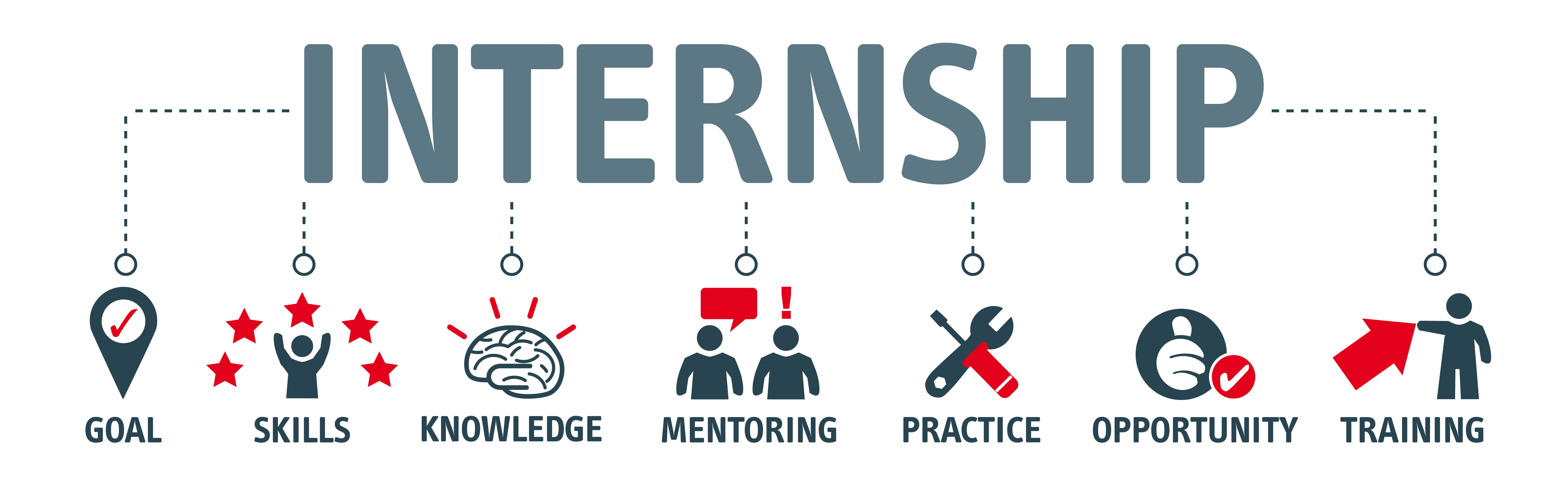 Why Do an Internship? Why Do an Internship?