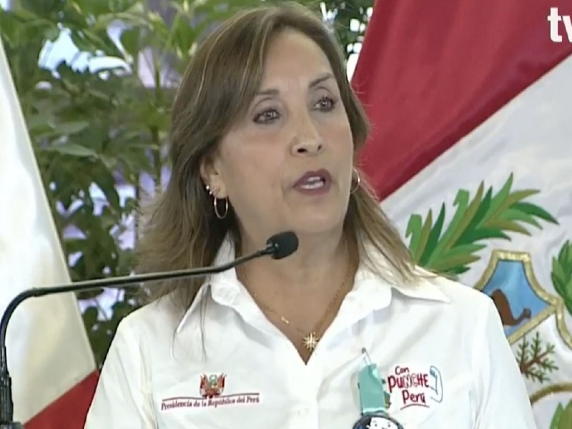 Comisión de Fiscalización aprobó informe final que recomienda vacancia de Dina Boluarte por caso ‘cirugías’ Comisión de Fiscalización aprobó informe final que recomienda vacancia de Dina Boluarte por caso ‘cirugías’