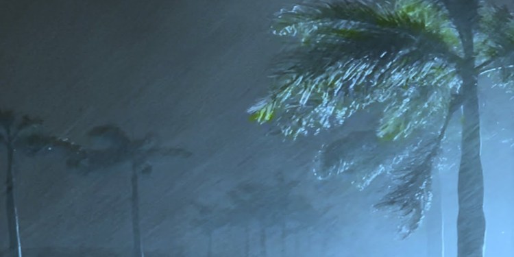 odisha.newsroom.in odisha.newsroom.in