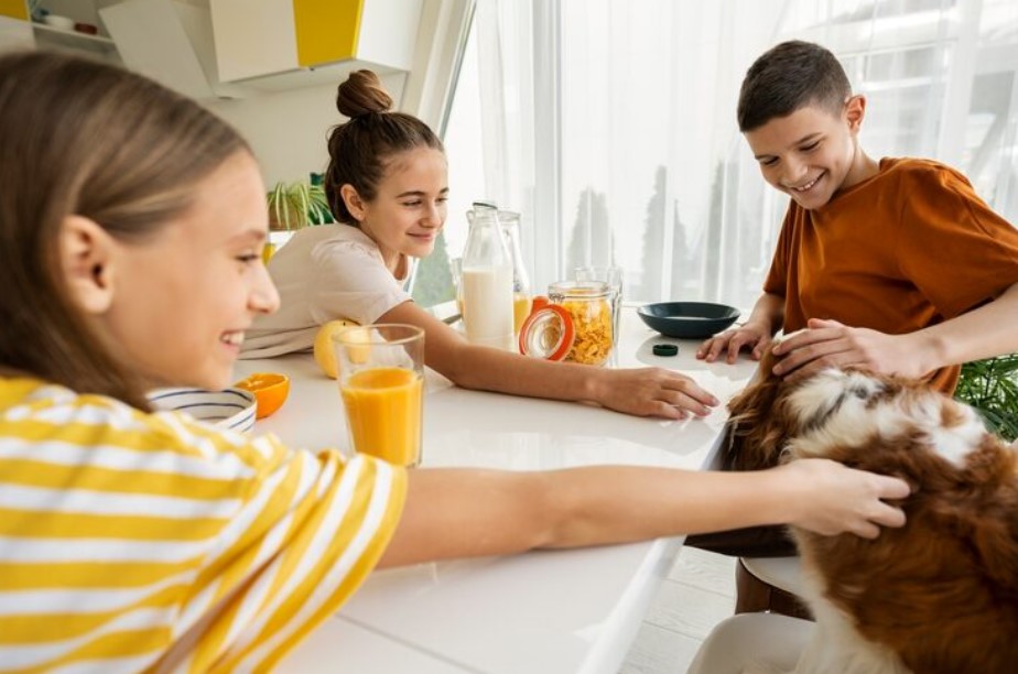 What Do Small Pets Eat? Complete Food Guide for Better Health and Care What Do Small Pets Eat? Complete Food Guide for Better Health and Care