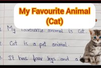 My Favorite Animal: The Cat My Favorite Animal: The Cat