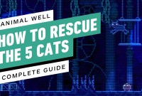 Pawsitive Outcomes: A Cat Rescue Story Pawsitive Outcomes: A Cat Rescue Story