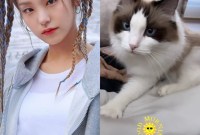 K-Pop Felines: When Idols Embody The Cat Spirit K-Pop Felines: When Idols Embody The Cat Spirit