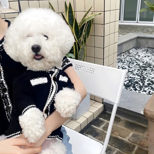 강아지무스탕 추천상품 Zoopark 반려동물 트위드 자켓 중소형견 가디건 강아지무스탕 추천상품 Zoopark 반려동물 트위드 자켓 중소형견 가디건