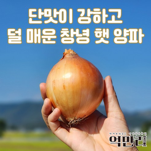 추천상품 2024년 신선한 창녕 햇양파: 건강과 풍미의 원천 추천상품 2024년 신선한 창녕 햇양파: 건강과 풍미의 원천