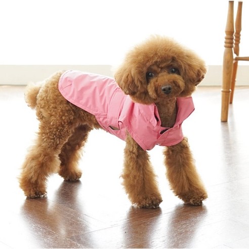 강아지바람막이 추천상품 리얼펫 반려동물 심플 레인코트 겸용 바람막이 자켓 강아지바람막이 추천상품 리얼펫 반려동물 심플 레인코트 겸용 바람막이 자켓