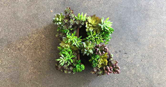 How To: 3D Print and Construct a Customized Succulent Wall Dangle How To: 3D Print and Construct a Customized Succulent Wall Dangle