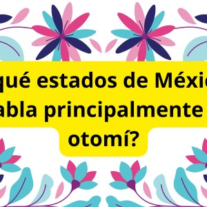 ¿En qué estados de México se habla principalmente el otomí? ¿En qué estados de México se habla principalmente el otomí?